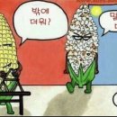 방배천로4안길 55 이미지