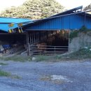 푸른들목장 이미지