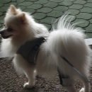 24시 더나은 동물메디컬 센터 이미지