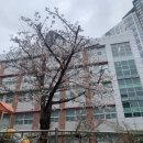 용소초등학교 병설유치원 이미지