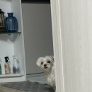 명덕양꼬치 이미지