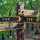 취암산 Daum카페
