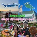 아이랑 제주 3박4일 여행 / 제주 동쪽 / 아쿠아플라넷 / 육성가