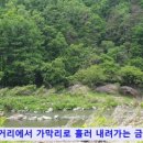 천천면오연삼거리 네이버블로그