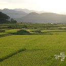 한미다방
