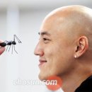 비즈에디터 이미지