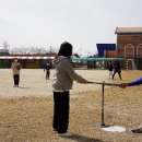 알프스하동야구스포츠클럽