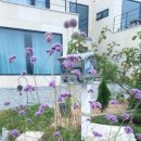 담양여자 화순남자 이미지