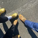 가을등산 속리산 등산코스 5시간 [법주사 세심정 문장대] 해발1054m