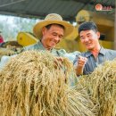 석천농장 이미지