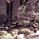 공도 쌍용 더 플래티넘 프리미어 이미지