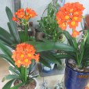 문경새재 옛길박물관 이미지