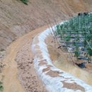 숙원농장 이미지