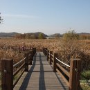 갈대습지공앞앞 이미지