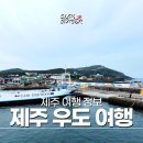 여행 - 2. 성산항-천진항 당일치기, 전기자전거 우도고고씽, 검멀레해변, 우도땅콩아이스크림, 솔직 후기