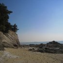 모도 이미지