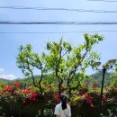 생곡스테이 이미지