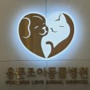 용문조아동물병원 이미지