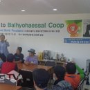 전통햇살협동조합 이미지