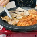 시고르하우스 이미지