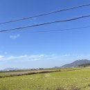 하점주유소 이미지