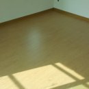 오크9 이미지