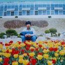 보리수다방 이미지