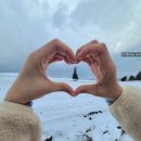 가족이 함께 떠나는 숲체험 & 놀이 - 낙엽으로 만드는 무지개 세계 | 12월초 비에이투어 : 마이재팬 비에이투어 찐후기 NOL (11월말~12월초 비에이눈)