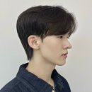 파인트리헤어살롱 네이버블로그