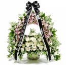 부림한방병원 이미지