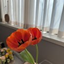 [3분기] 플로리스트 취미 | 부산대 원데이클래스 추천! 카라 플로리스트학원에서 힐링 생화 리스 만들기