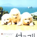 다솔카페