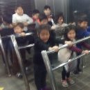 차돌체육관 이미지