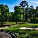 초원골프 이미지