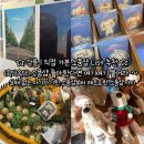제6구경길 관대바위 산소길 | [여행] 강릉 | 소품샵 좋아한다면 주목 !! 직접 가본 소품샵 LIST 추천