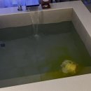 더리프 사당점 이미지