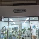트웬티쏠