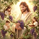 기쁨의 교회 앞 보도 | "그리스도 안에 거할 때 맺는 결실과 충만한 기쁨"/예수 그리스도 후기성도 교회