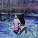 고성터널 | 2025 고성공룡엑스포 후기 고성가볼만한곳 고성공룡세계엑스포