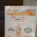 스파인더파리 이미지