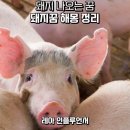 돼지의꿈 이미지