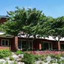 백야자연휴양림 이미지