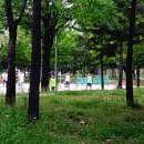 부평공원 티스토리