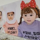분당카용품 이미지