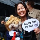 도날드 도그(Dog) 이미지