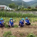 성천보건진료소 이미지