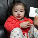 호도미
