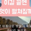 세화여행주 이미지