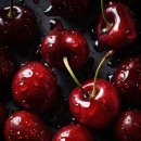 체리 이미지