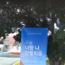 감물농장 | (후기) 감물체험 다녀왔어요. 서귀포농업기술센터!